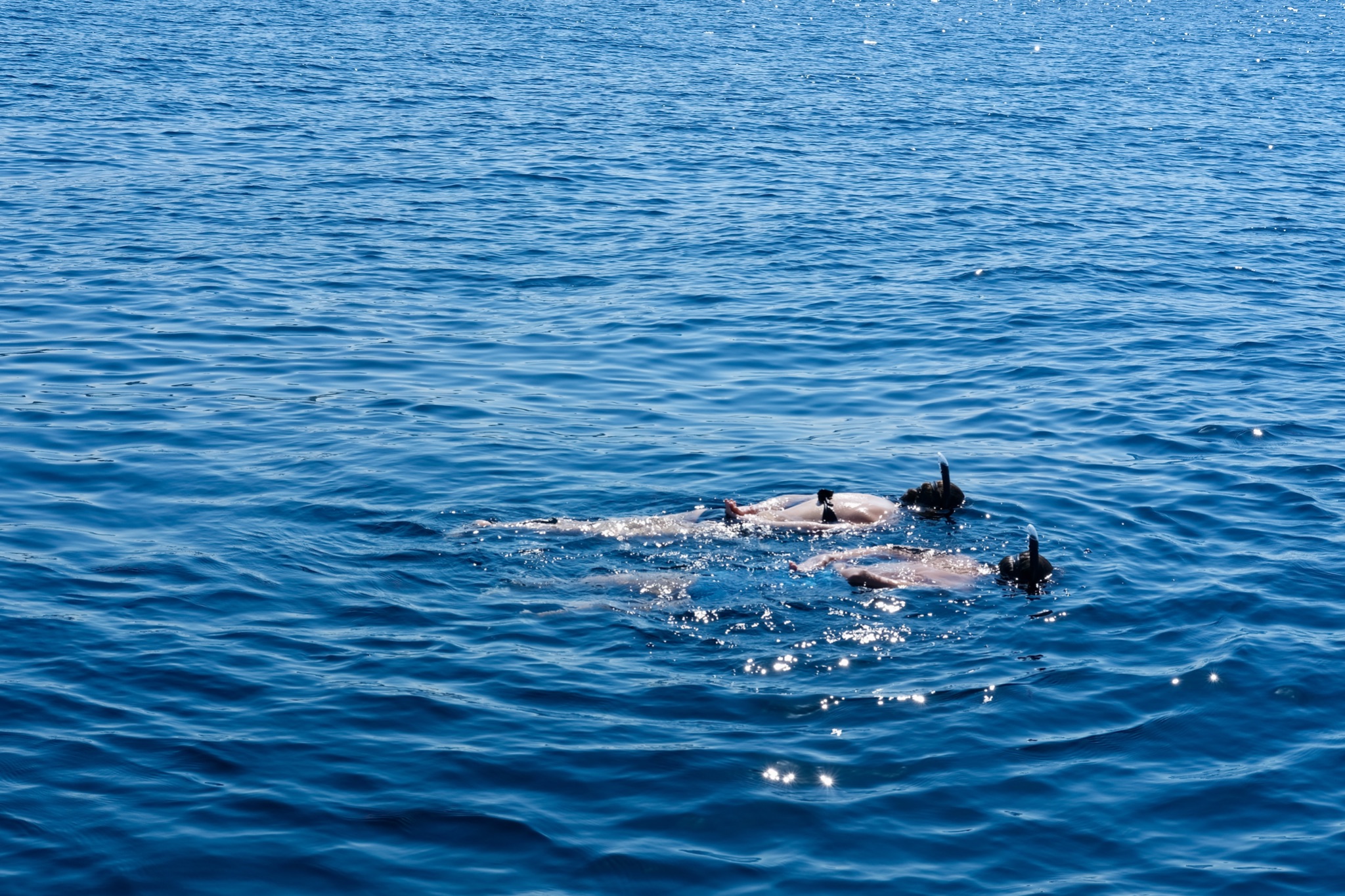 Corsica 2022   31 of 136